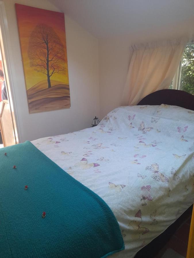 Janet Hale Studios, Garden Apartment غلاستونبري المظهر الخارجي الصورة