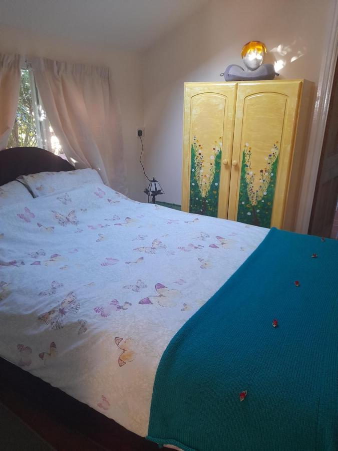 Janet Hale Studios, Garden Apartment غلاستونبري المظهر الخارجي الصورة