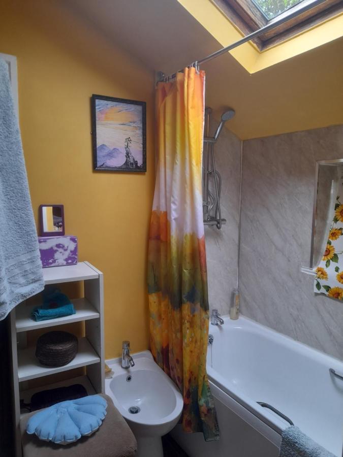 Janet Hale Studios, Garden Apartment غلاستونبري المظهر الخارجي الصورة